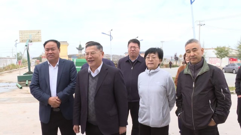 浙江省红十字会调研taptap点点网真网假网最新内容灾后重建项目2.jpg