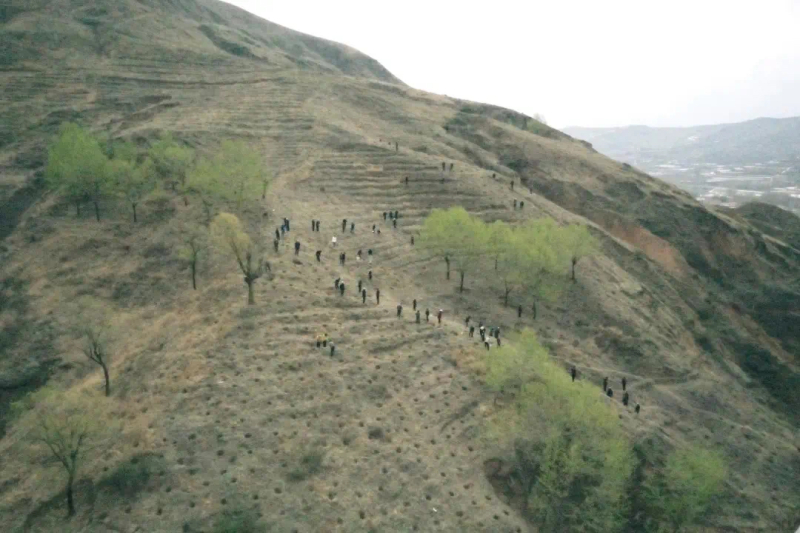 微信图片_20250422113322.jpg